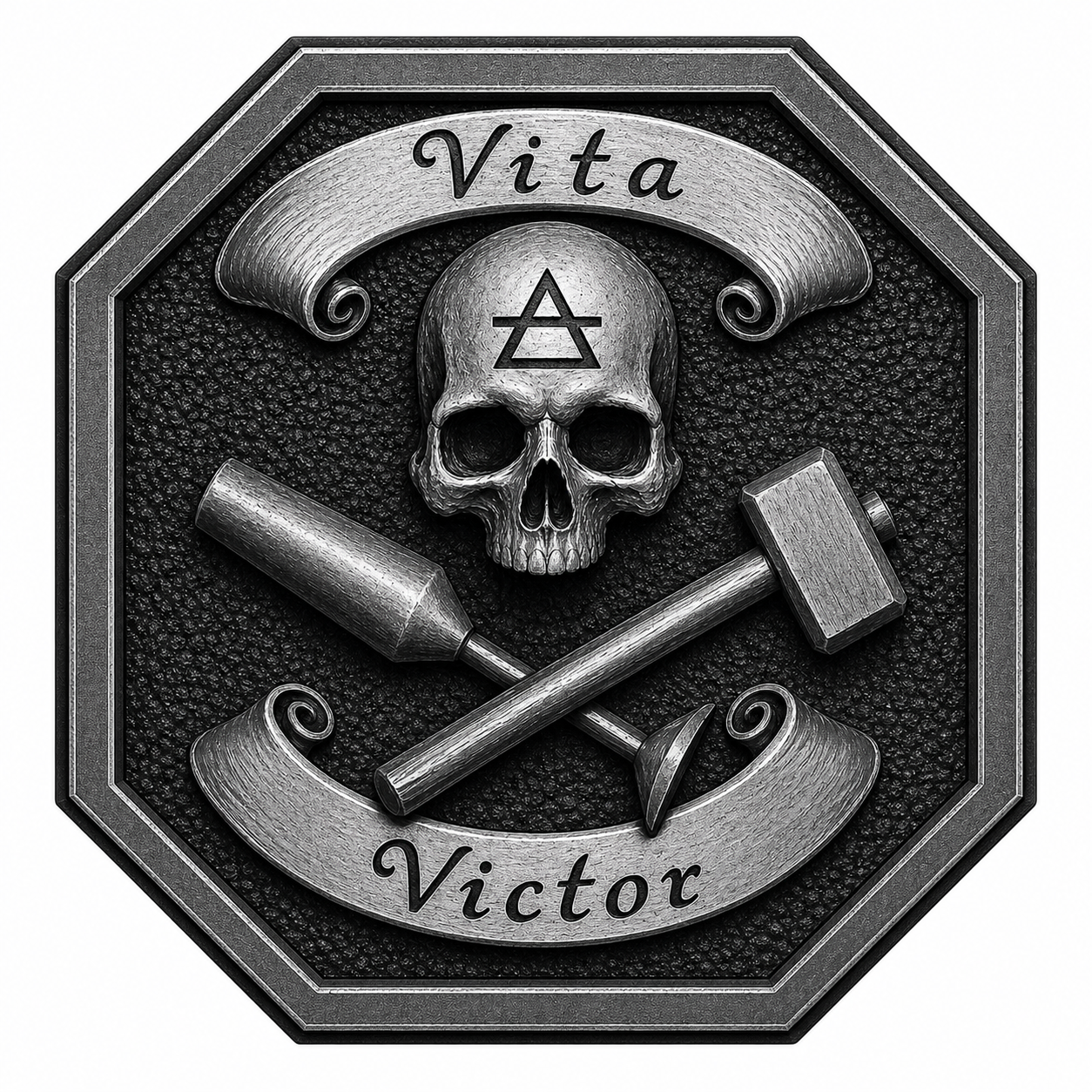 VitaVictor logo